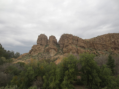Boyce Arboretum